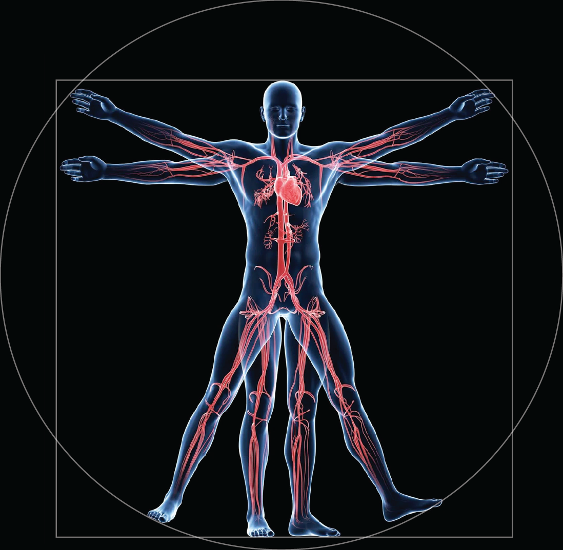 Quantum Scanner 40 min