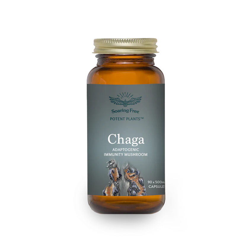Soaring Free Chaga Adaptongenic 90 x 500mg Caspules