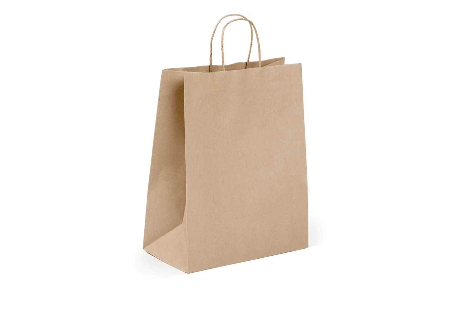 Paper Bag Large