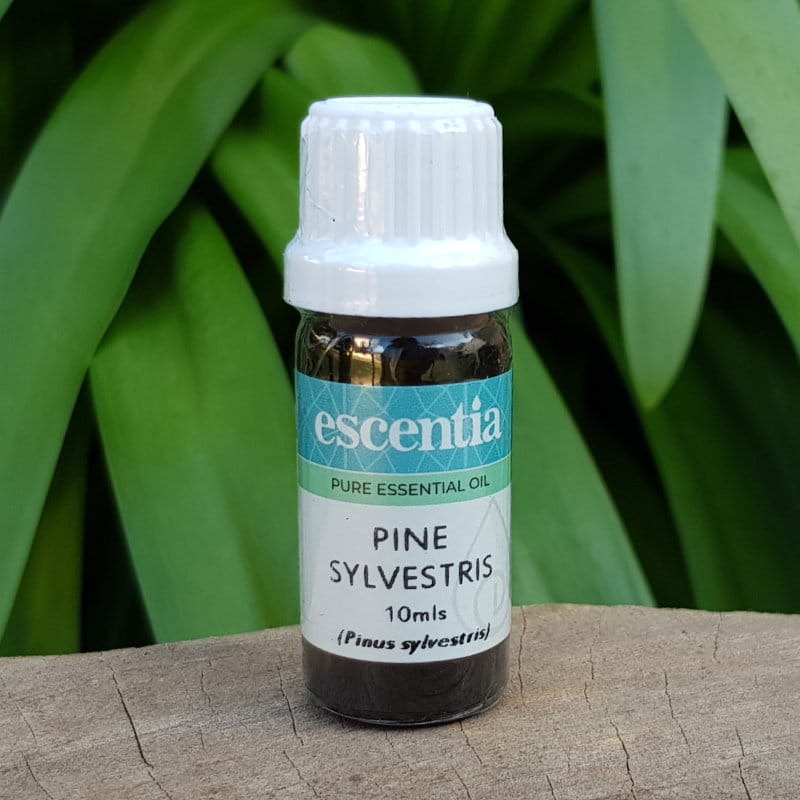 Escentia Pine Sylvestris Essential Oil - 10ml