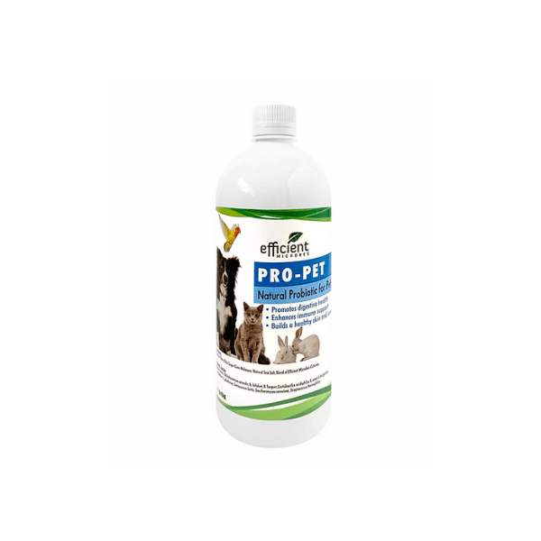 Rawbiotics Pro-Pet 1L