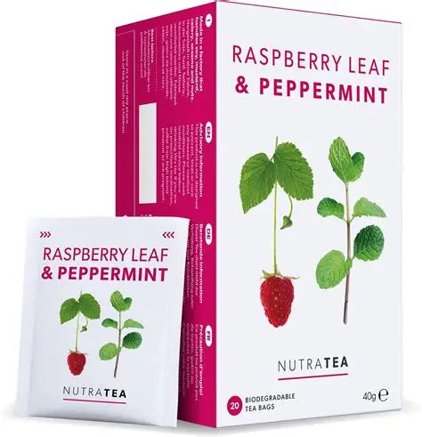 GH Nutra Tea Raspberry &amp; Peppermint